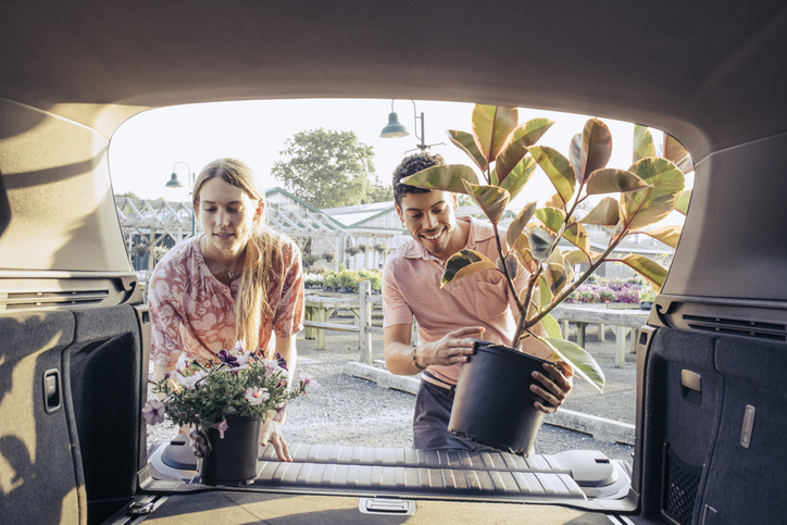 Woman and man loading plants into car trunk 